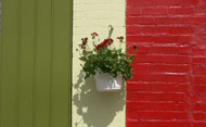 Hanging flower pot